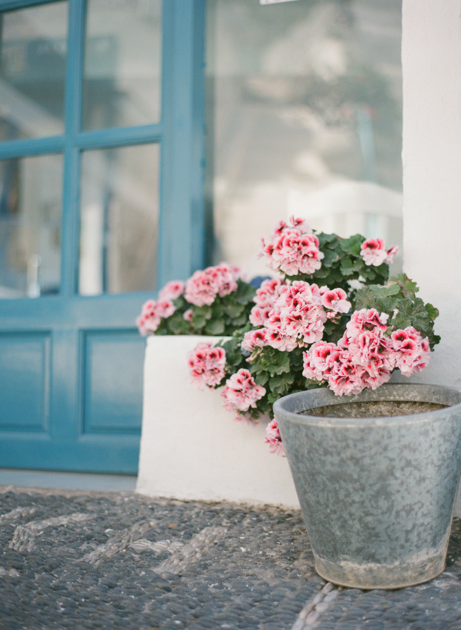 Pink Potted Flowers in Santorini