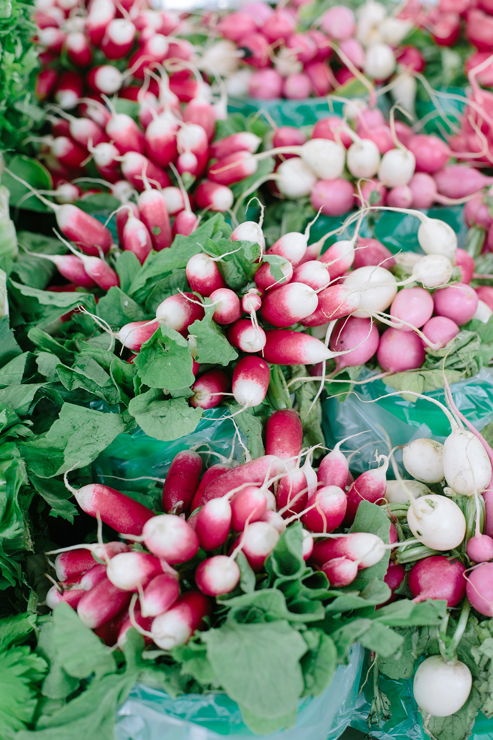 Radishes in Montreal