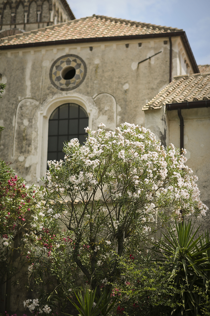 White Blossoms in Positano Italy