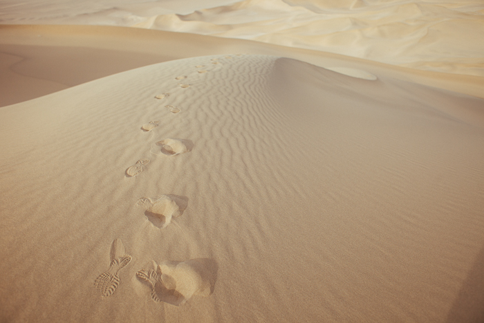 Camel Prints in the Mingsha Sand Dunes