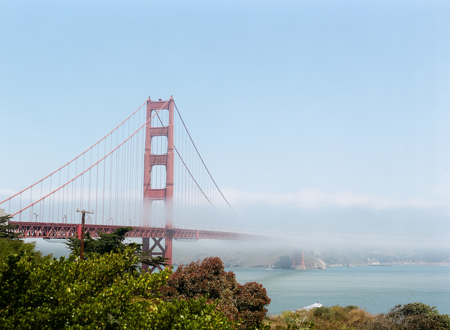 A Local’s Guide to San Francisco