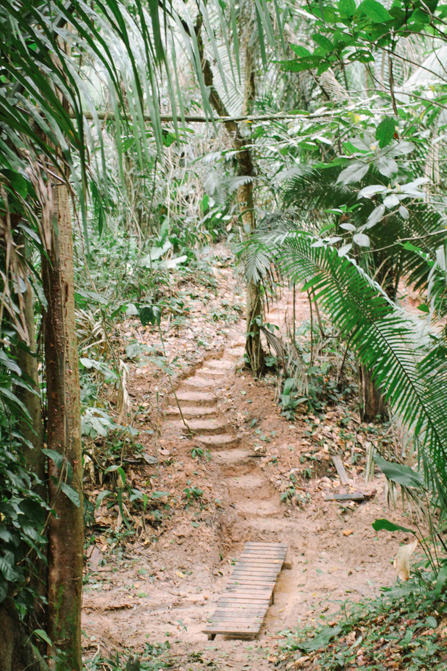 Hiking in Belize