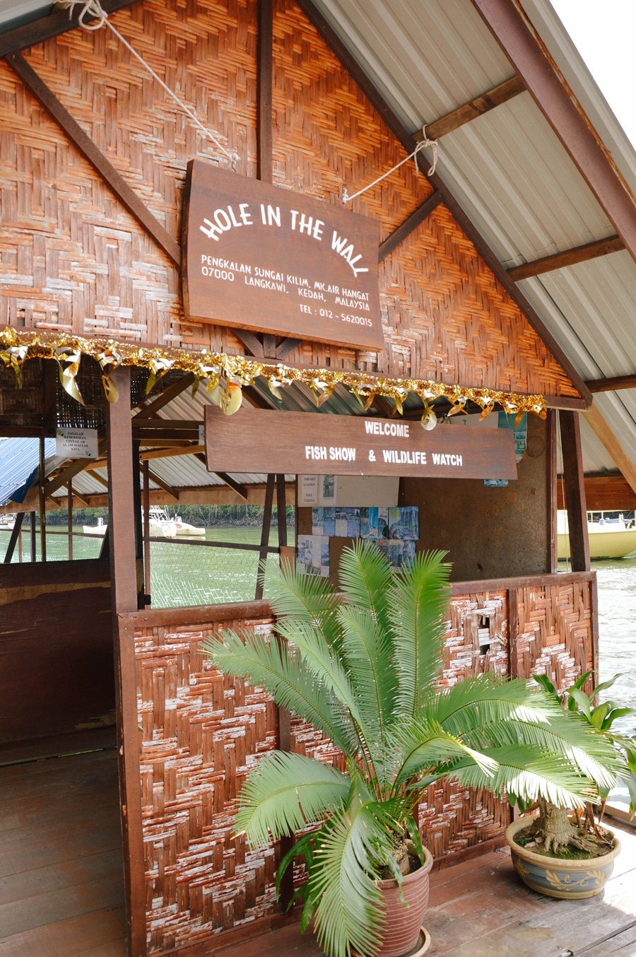 Hole in the Wall Fish Show and Wildlife Watch in Malaysia