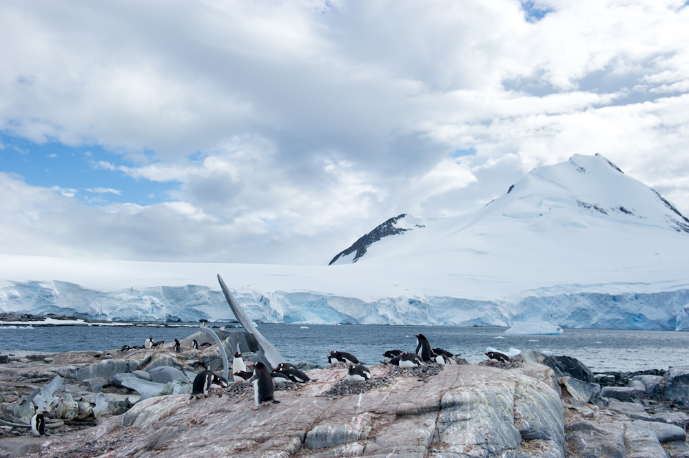Landscape of Antarctica