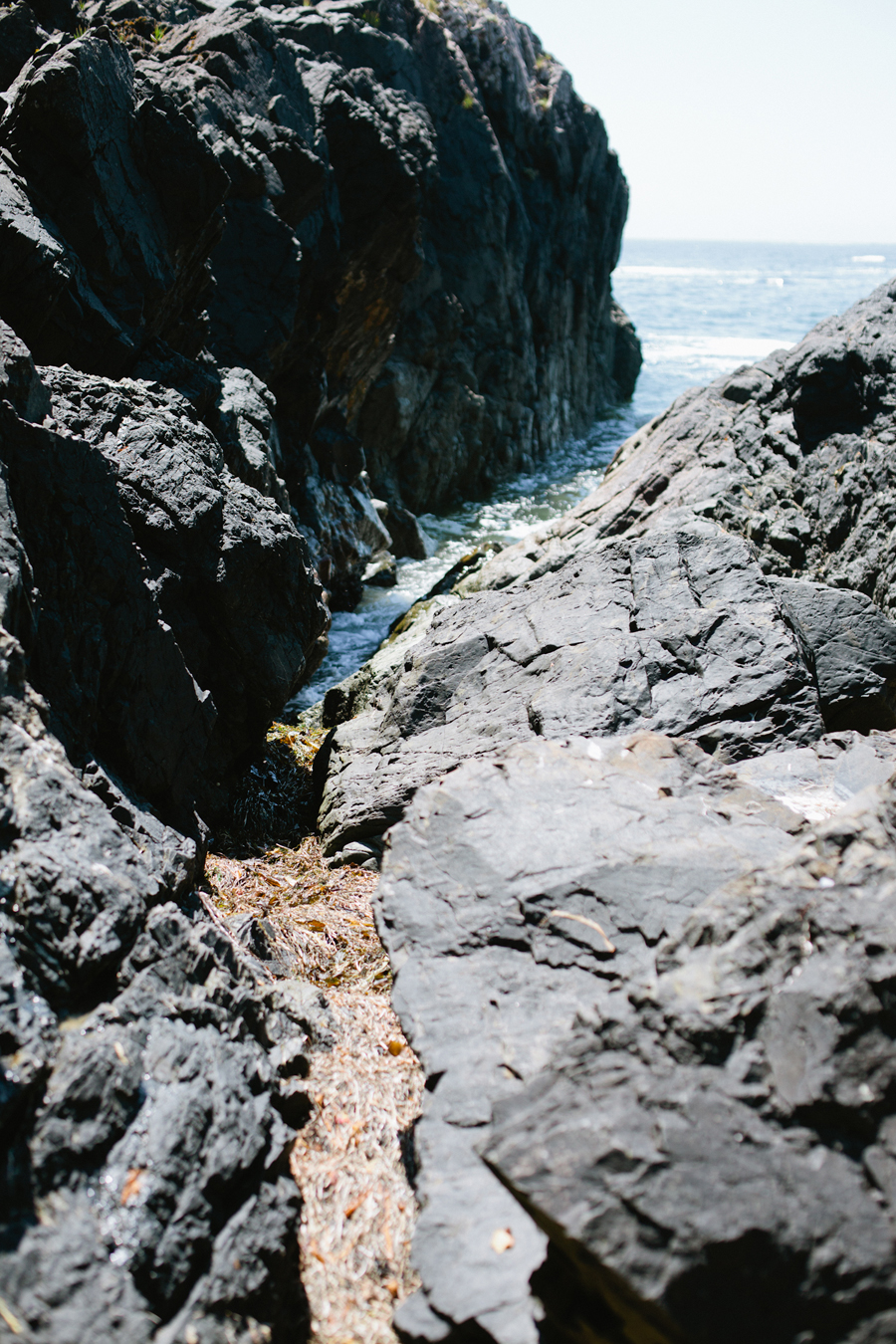 Rocky Cliffs in Tofino