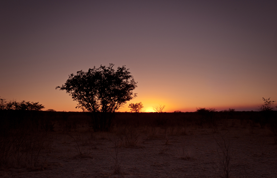 Sunset at Etosha National Park in Namibia