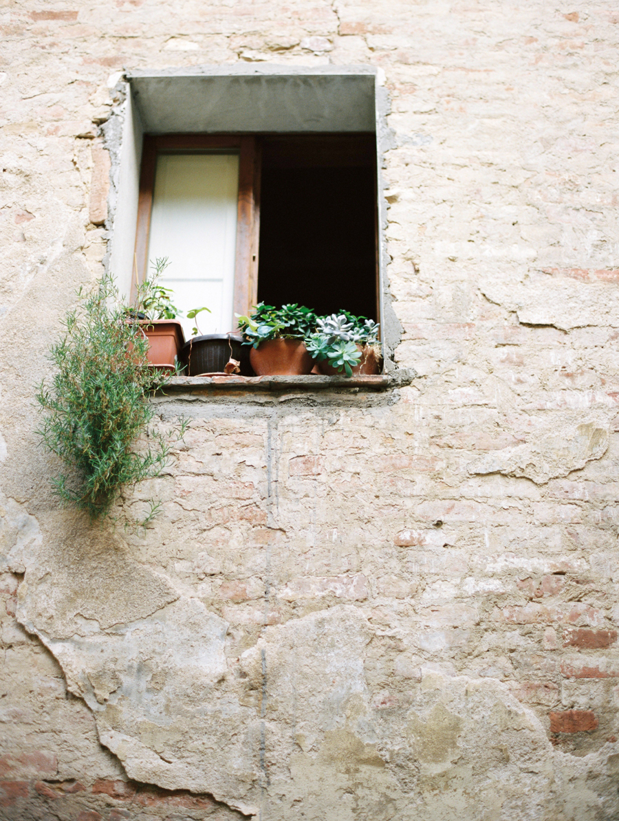 Brick Wall and Potted Plants in Tuscany