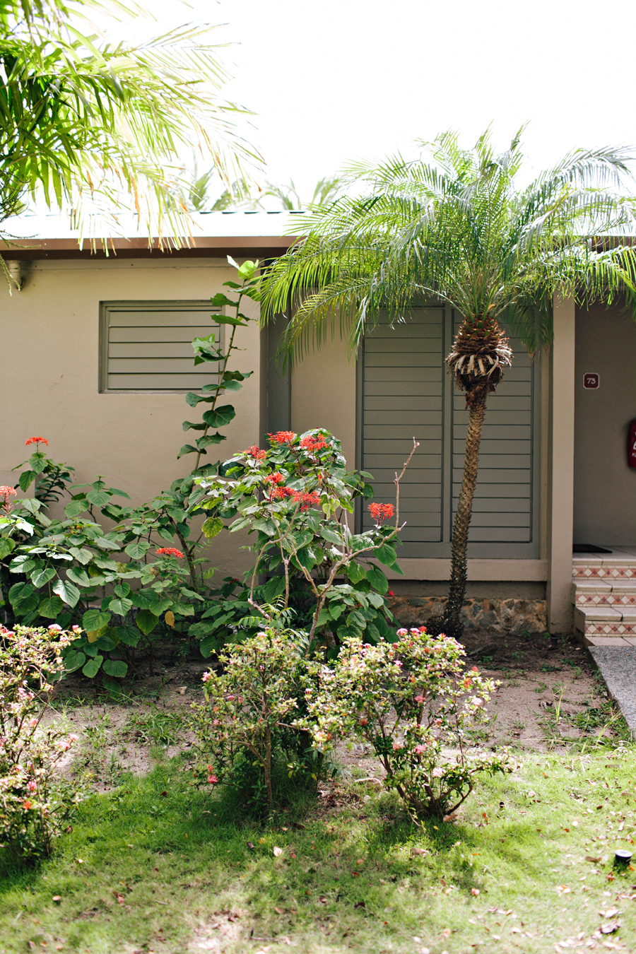 Caneel Bay Guest House