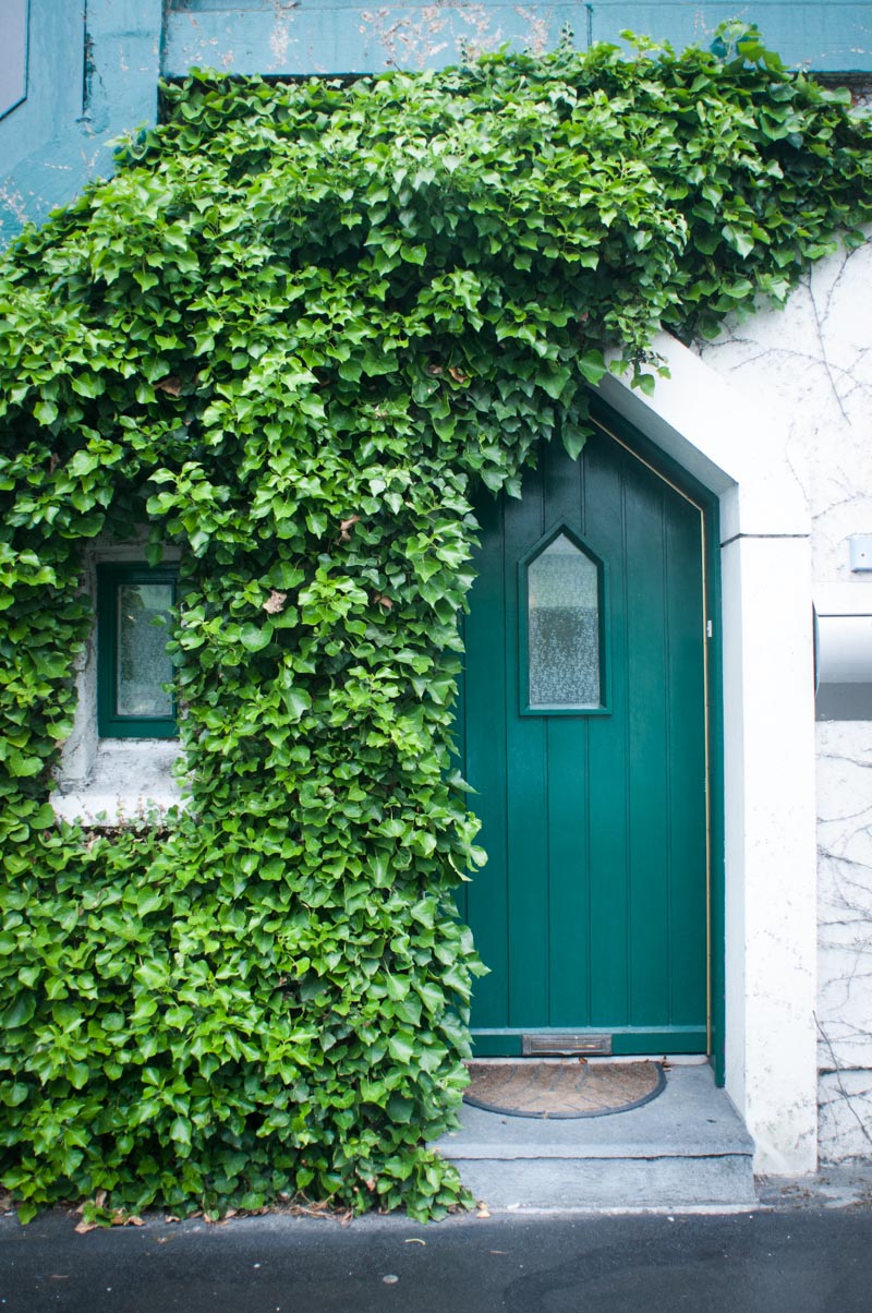 Green Door and Creeping Ivy in Connemara Ireland