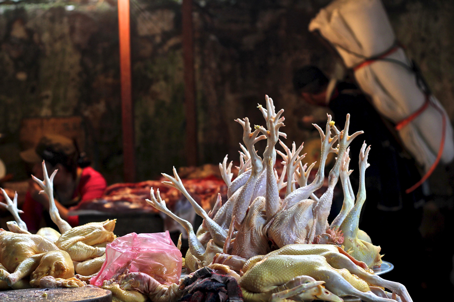Raw Chickens in Sapa Vietnam