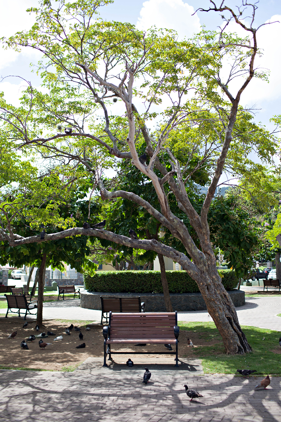 St Thomas Town Square
