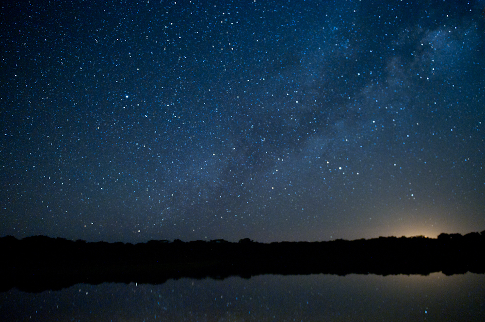 Starry Sky in Yasuni National Park