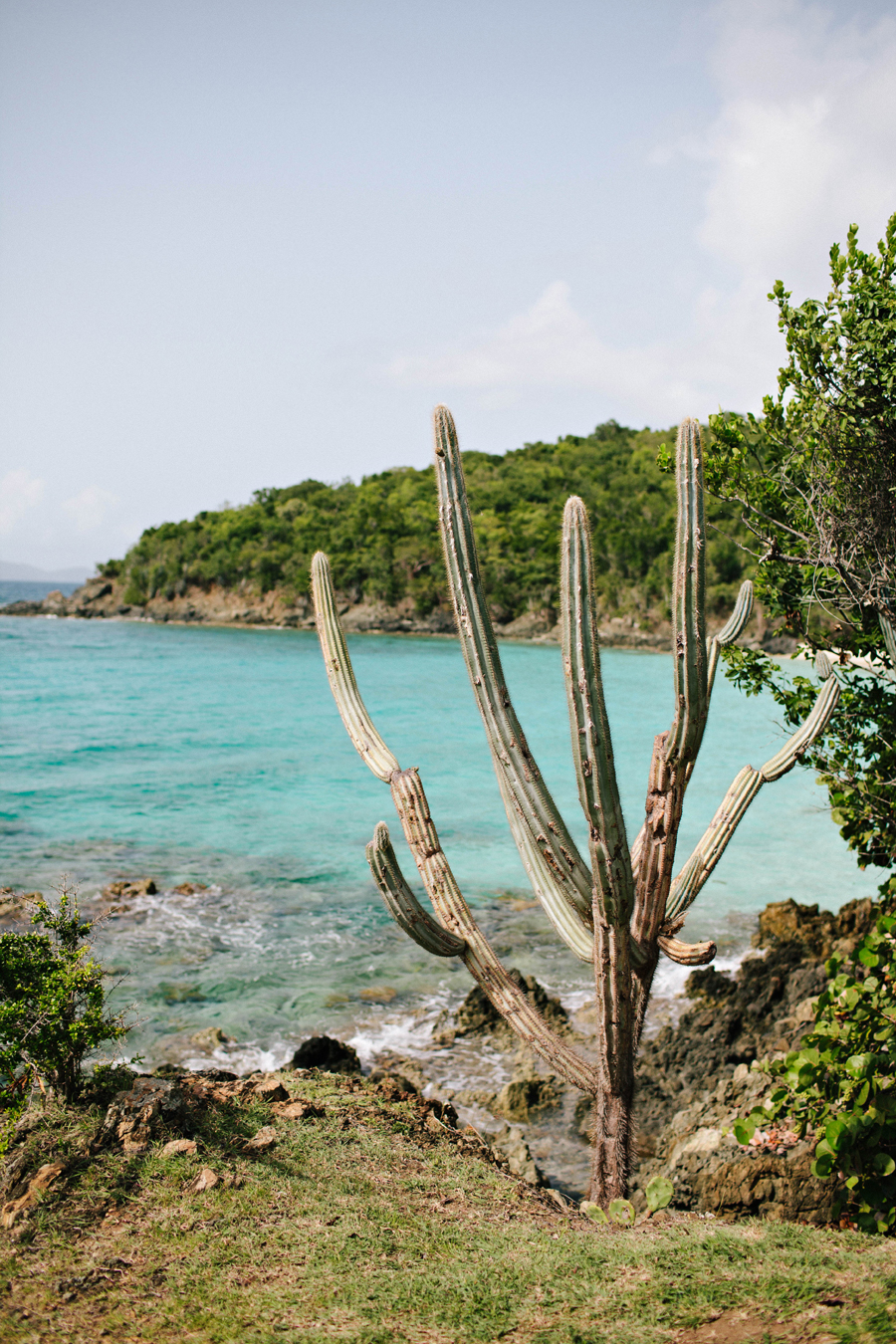 View from Caneel Bay