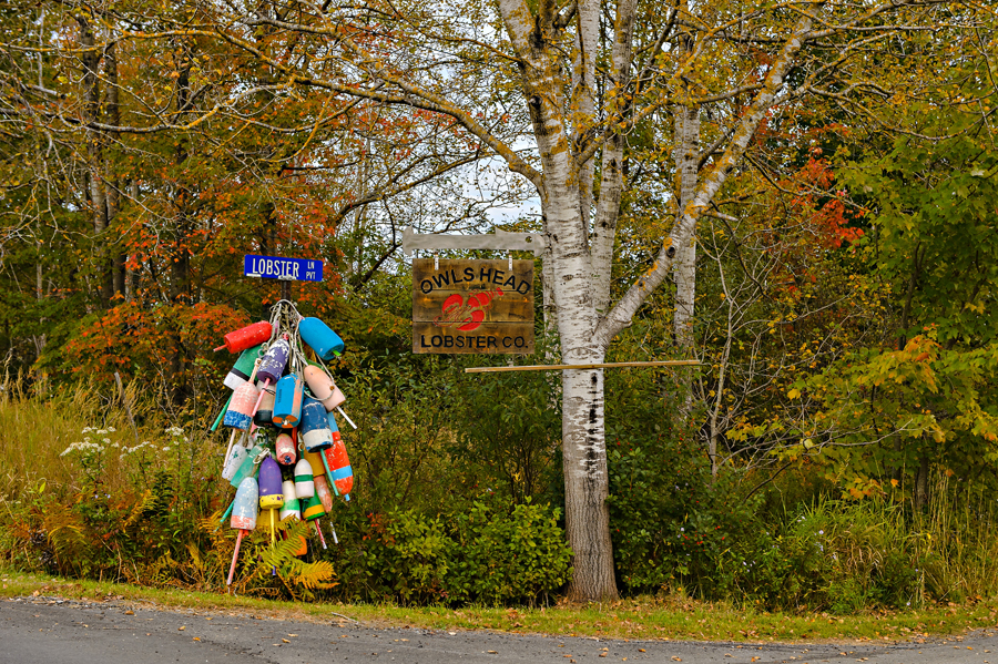 Buoys on the Lobster Lane Road Sign