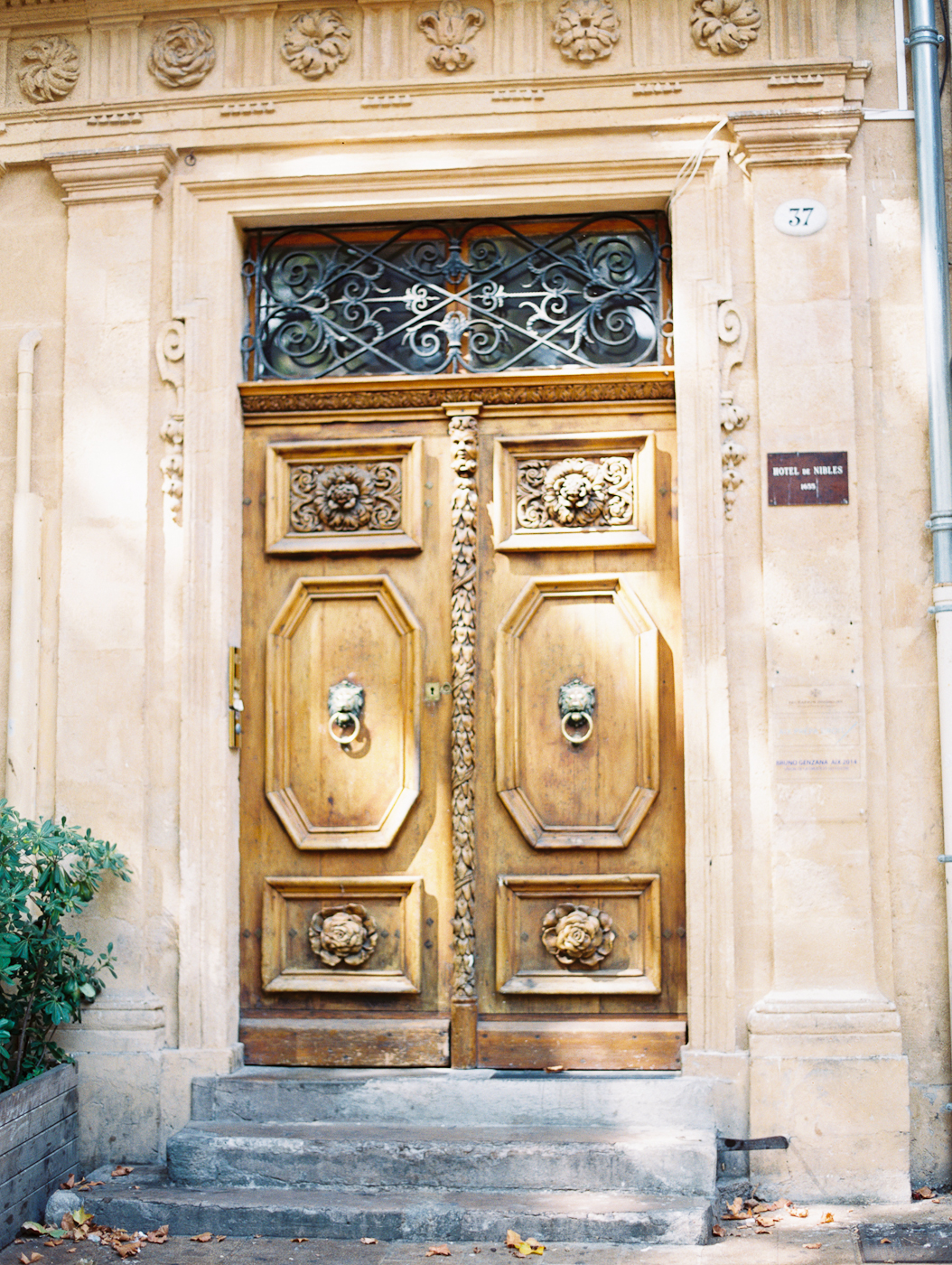 Detailed Wood Doors in Aix en Provence