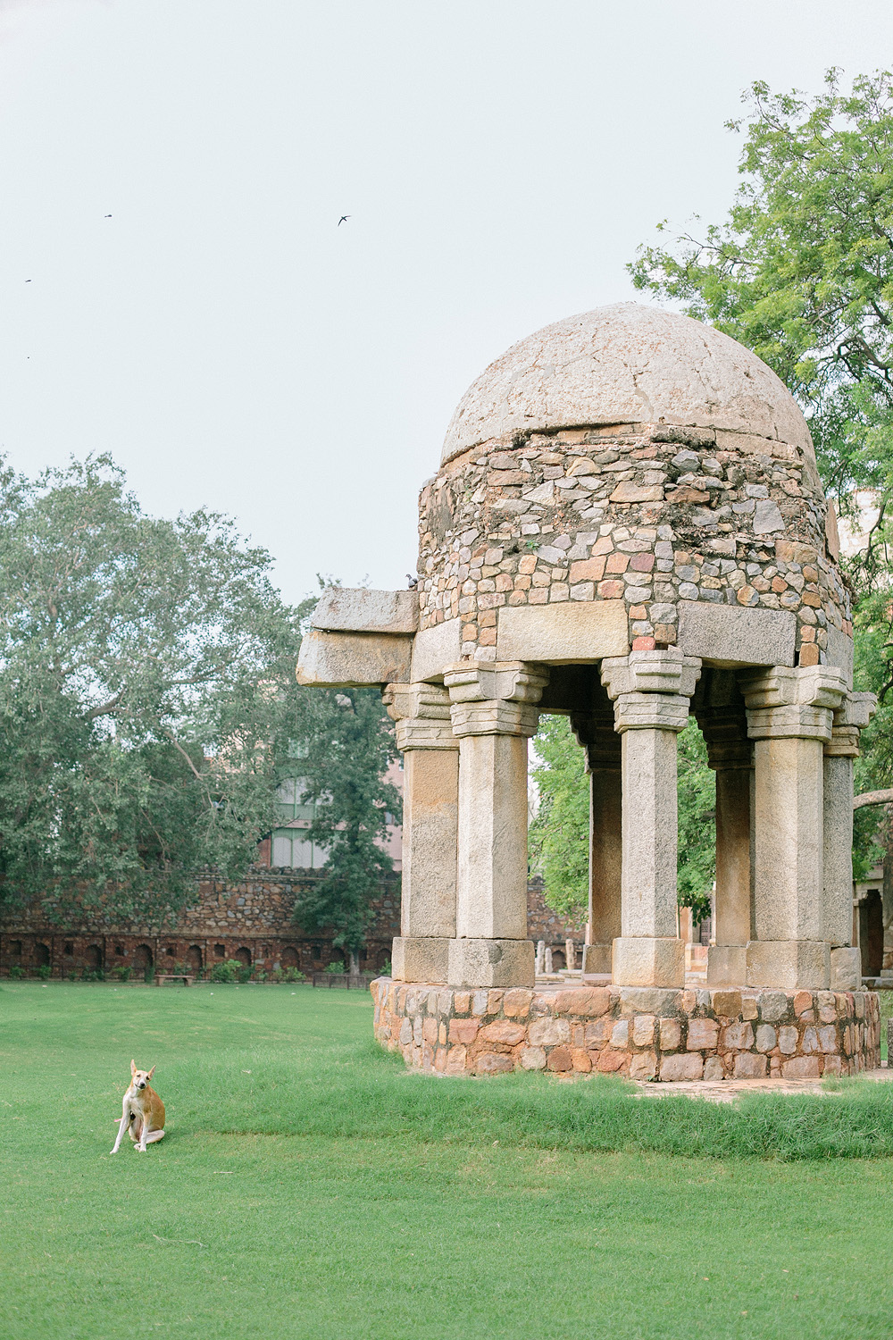 Ruins of Hauz Khas Village New Dehli