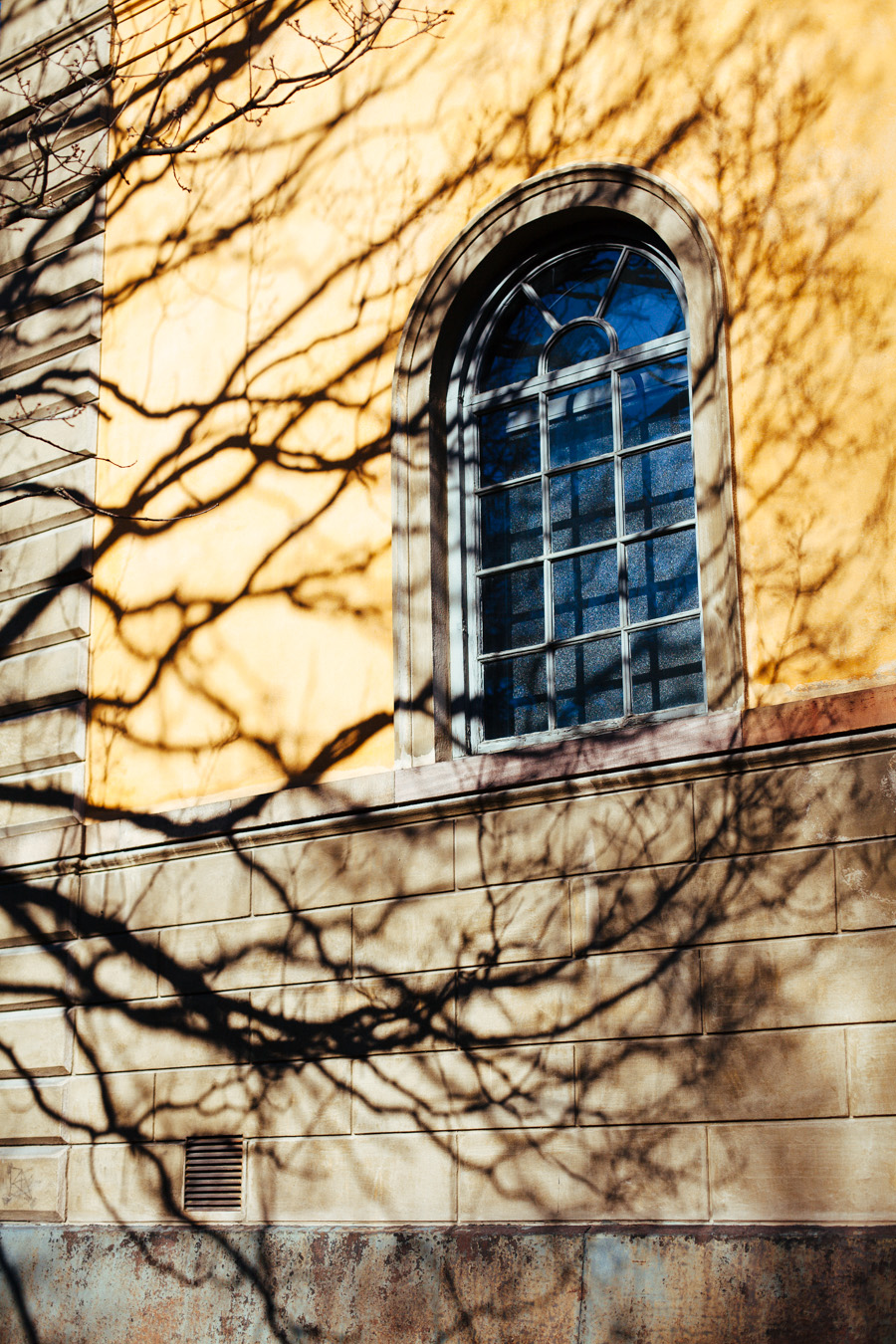 Shadows on a Wall in Stockholm Sweden Shadows on a Wall in Stockholm Sweden