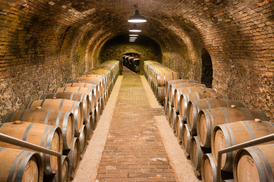 Barrel Room in Wieninger Vineyard in Austria Barrel Room in Wieninger Vineyard in Austria