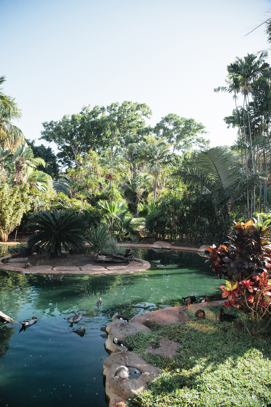 Honolulu Zoo