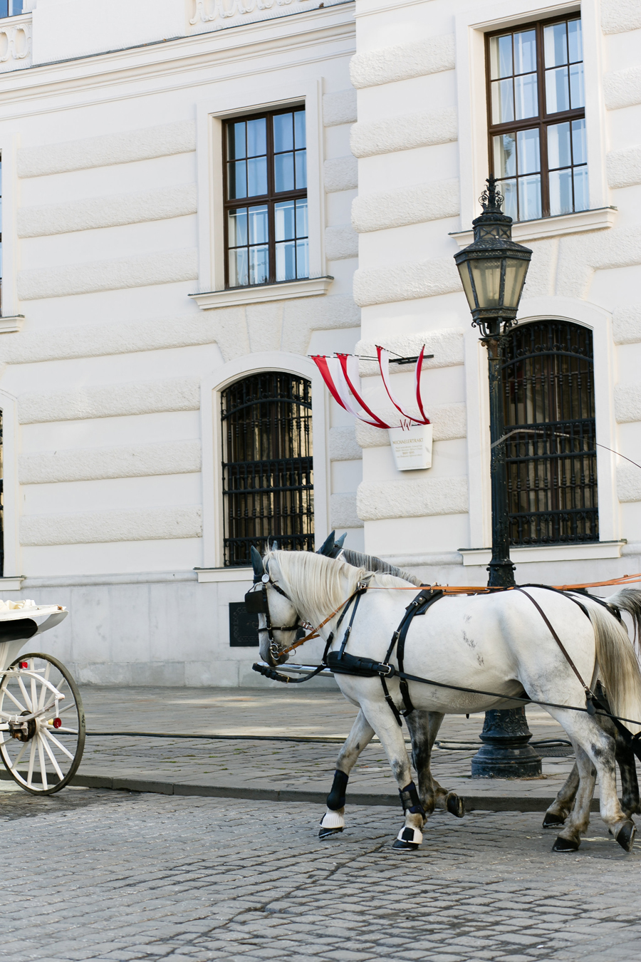 Horse Drawn Carriage at the Hofburg Imperial Palace in Vienna Austria Horse Drawn Carriage at the Hofburg Imperial Palace in Vienna Austria