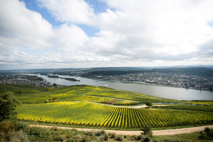 Scenic View from Rudesheim Germany