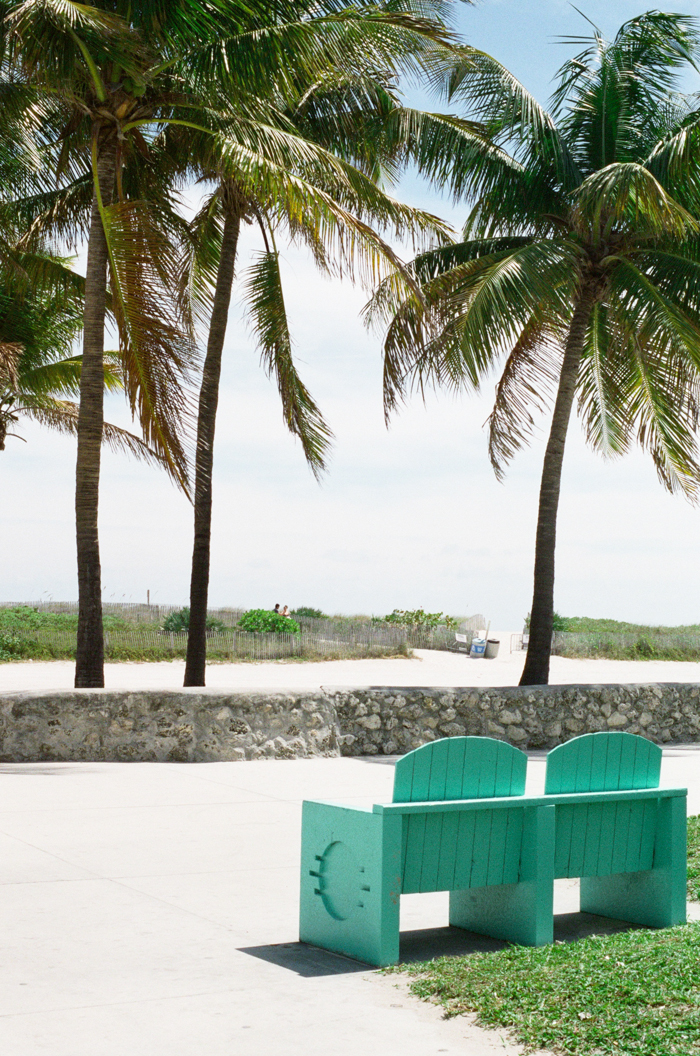 Green Bench and Palm Trees in Miami Beach