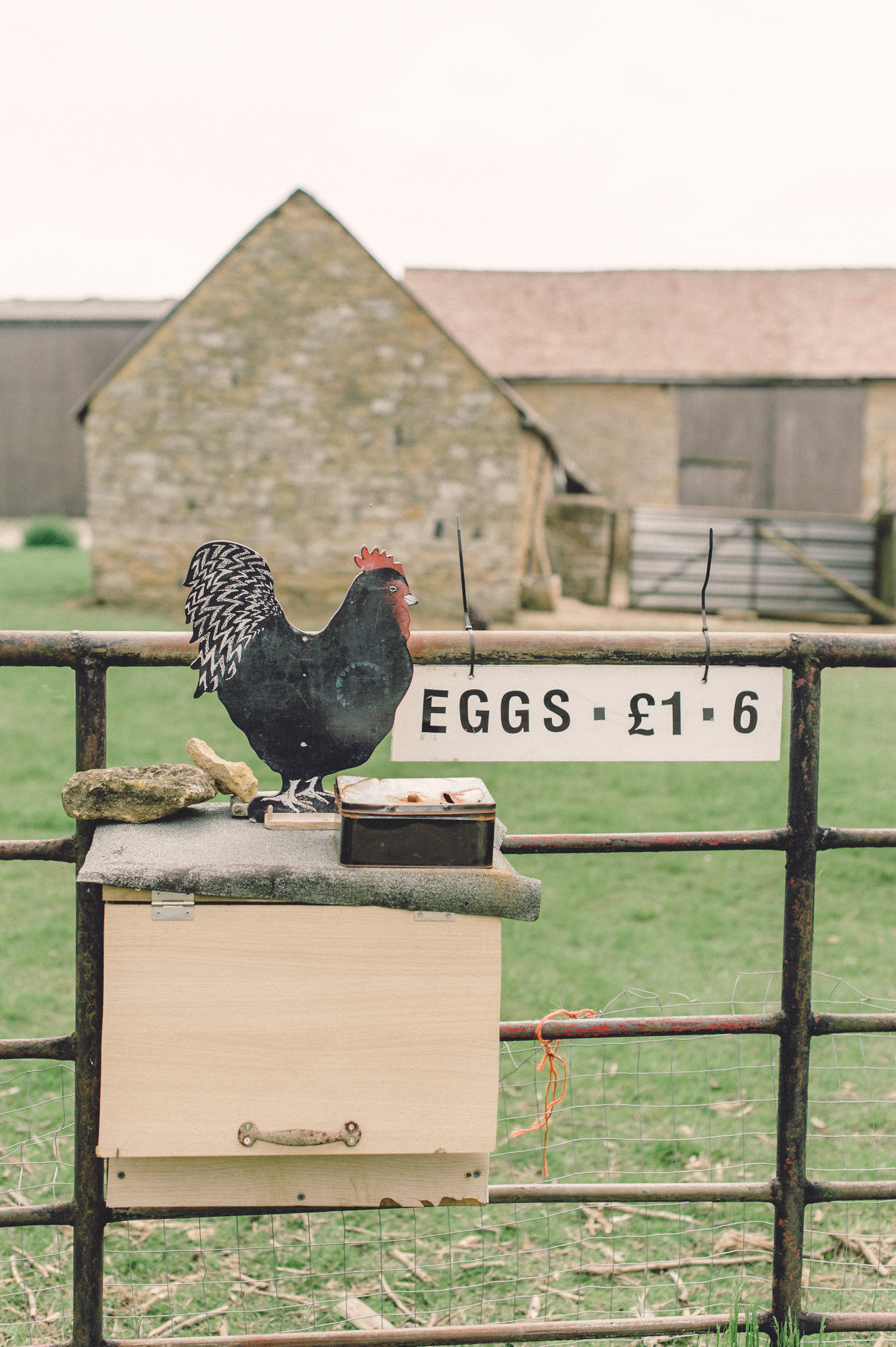 Farm Fresh Eggs in the Cotswolds