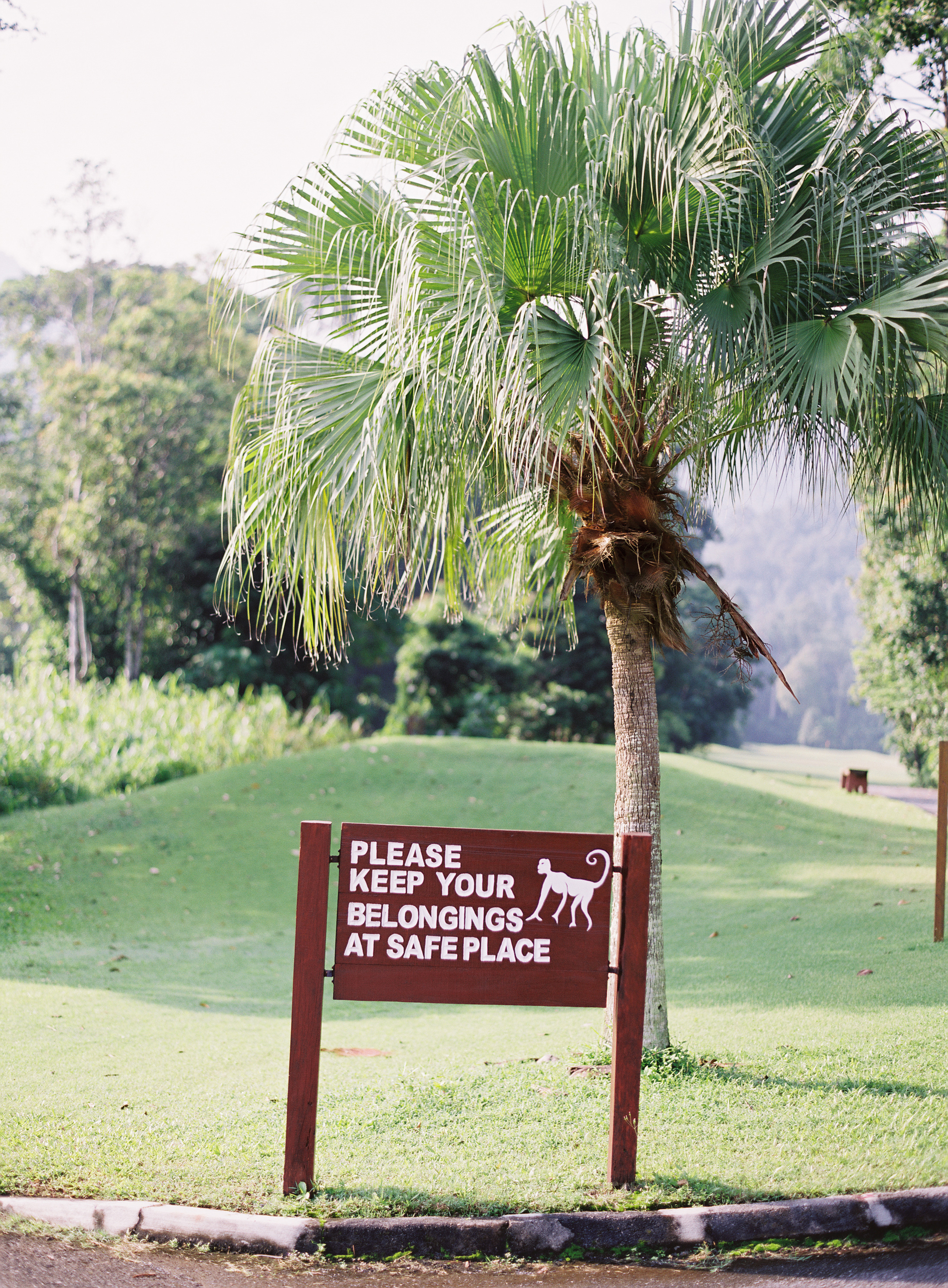 Monkey Warning at the Datai Langkawi