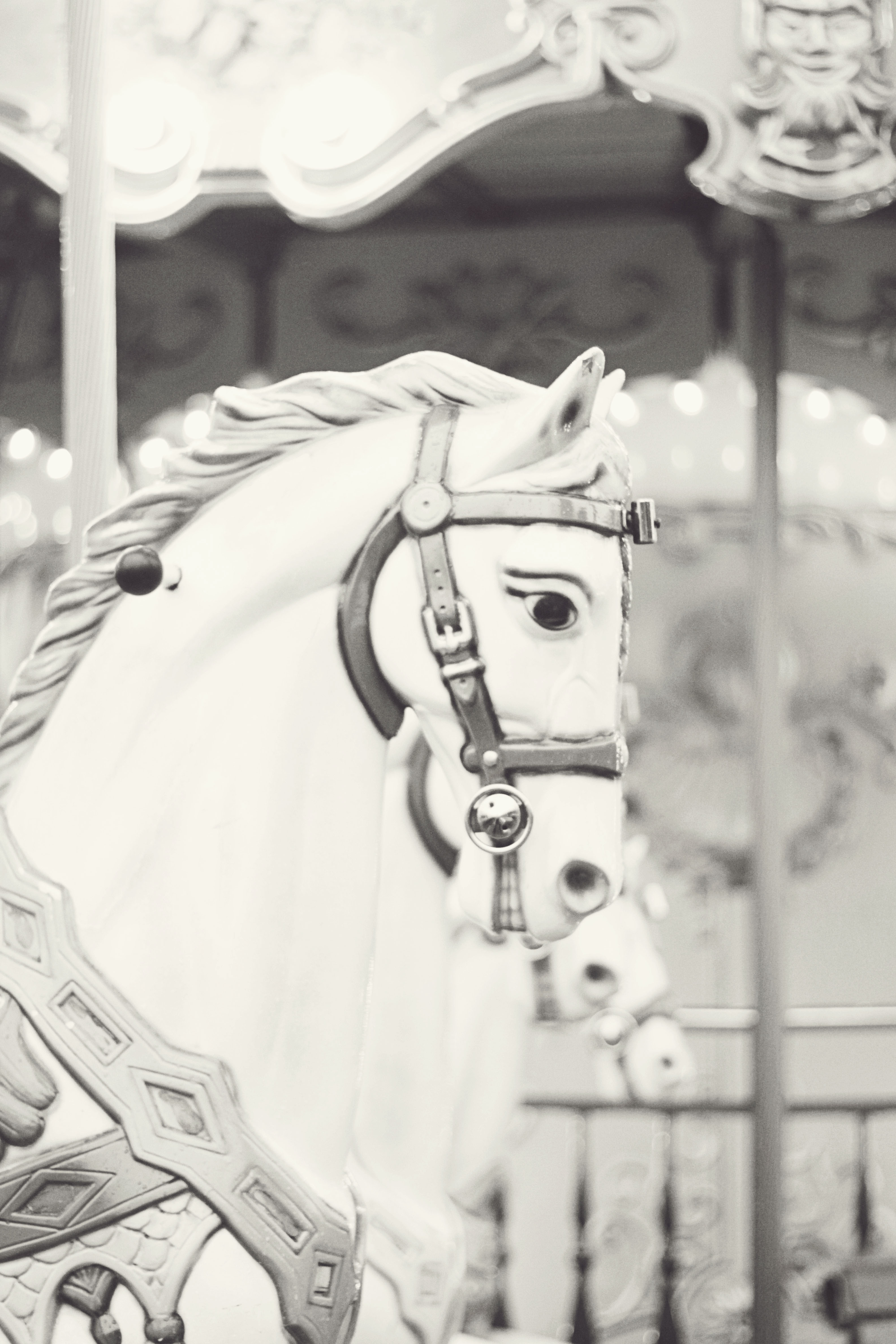 Carousel Horse in Paris France Carousel Horse in Paris France