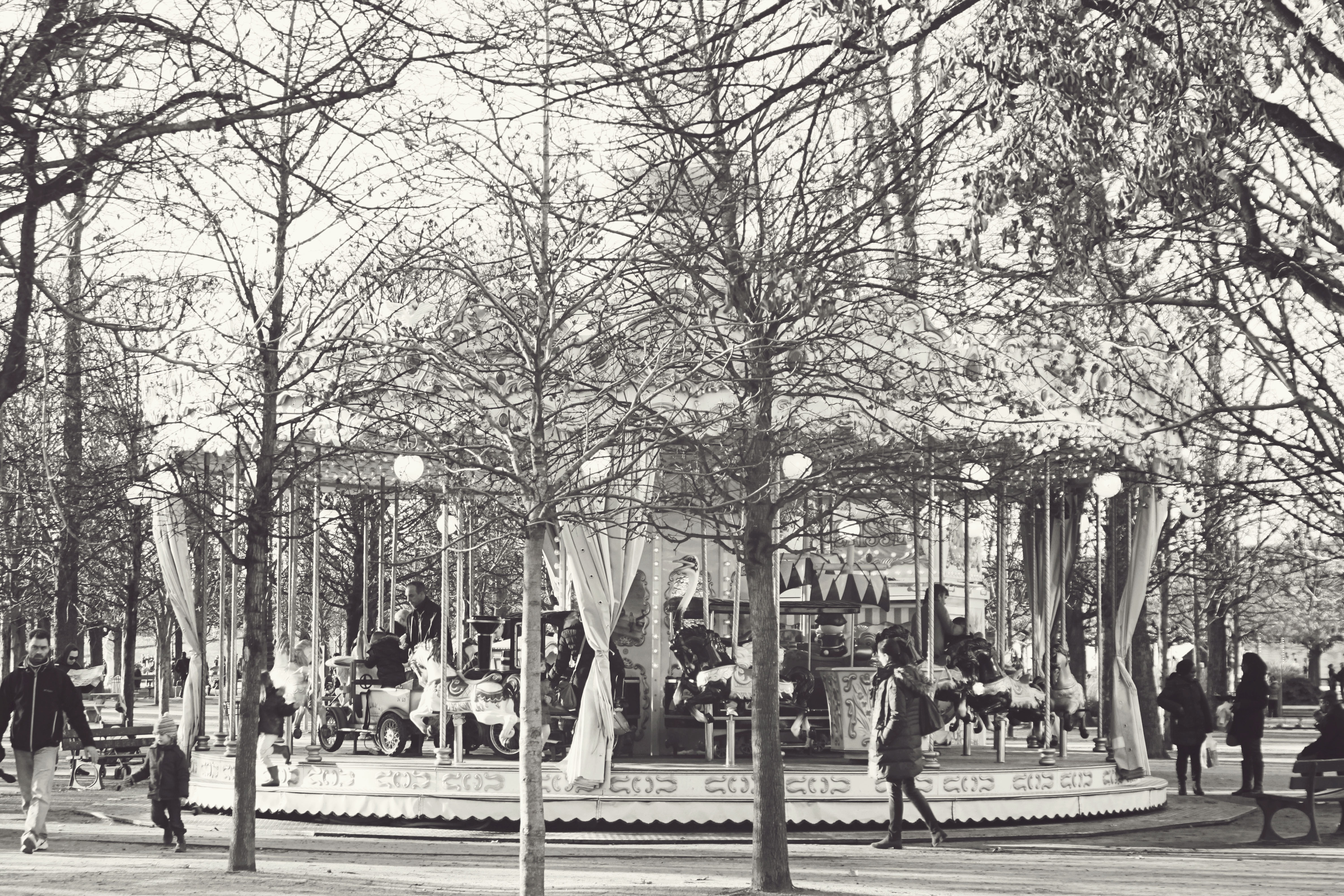 Carousel at the Graffiti at the Tuilerie Gardens in Paris