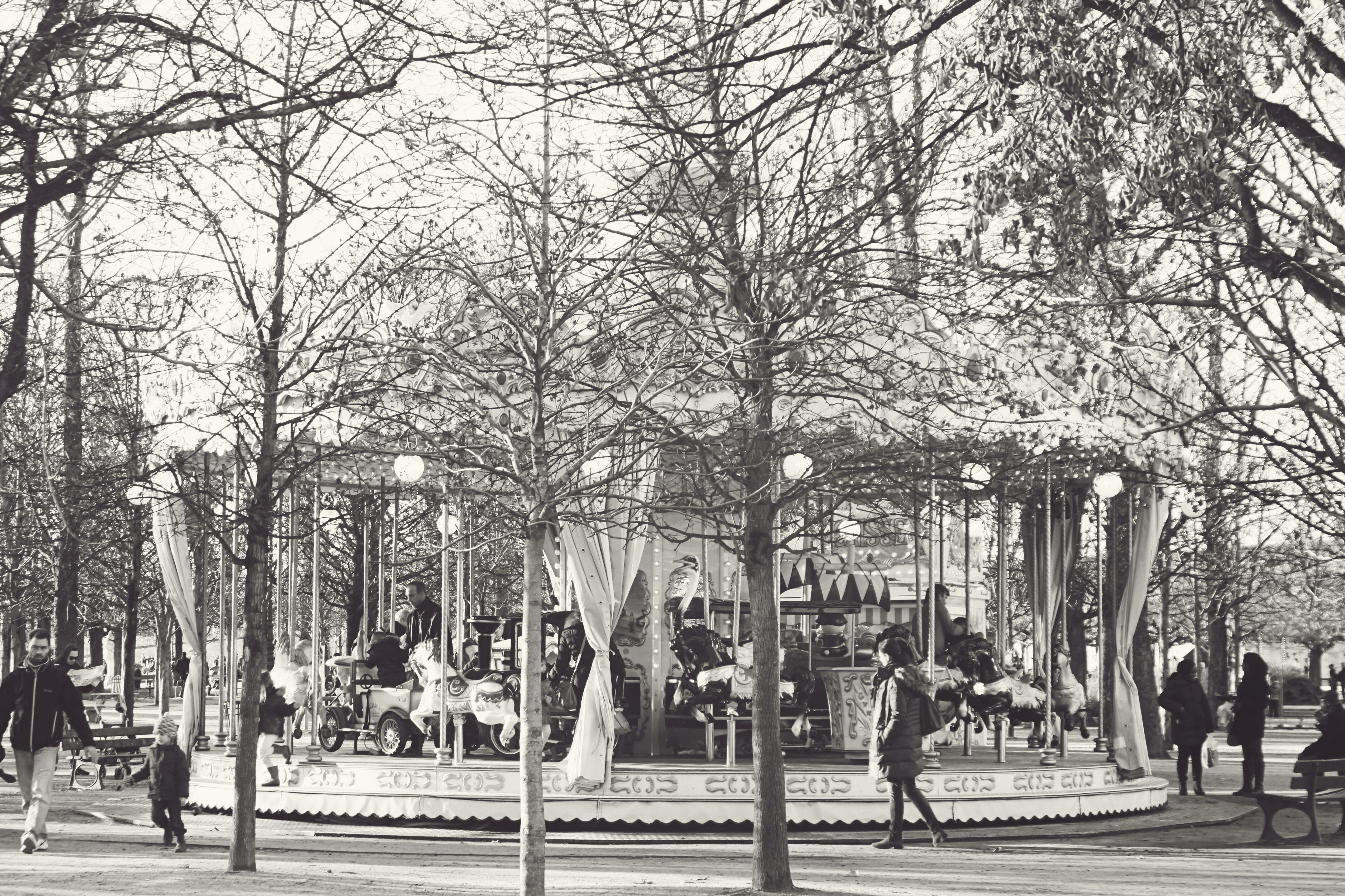 Carousel at the Graffiti at the Tuilerie Gardens in Paris Carousel at the Graffiti at the Tuilerie Gardens in Paris