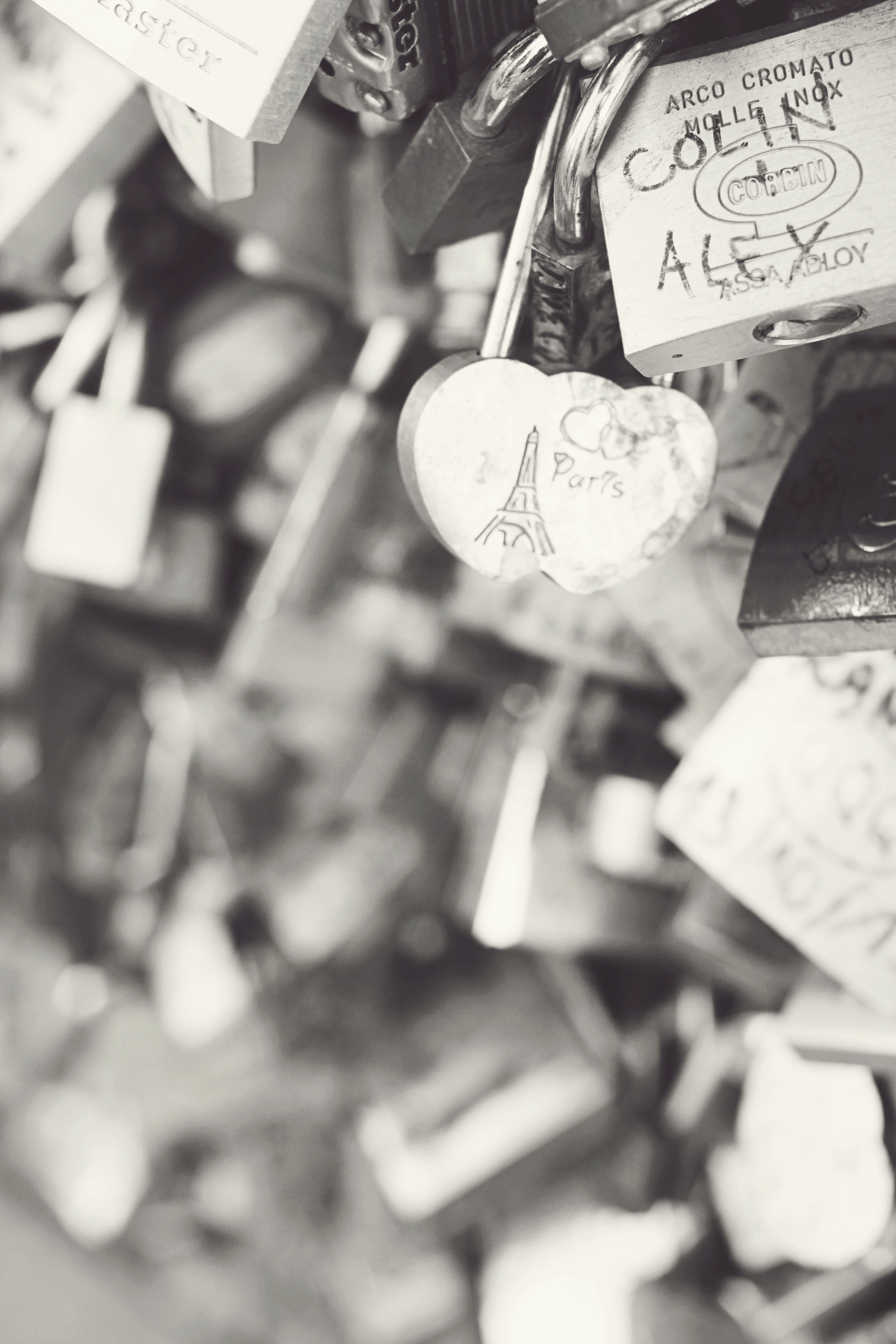 Love Locks in Paris France Love Locks in Paris France