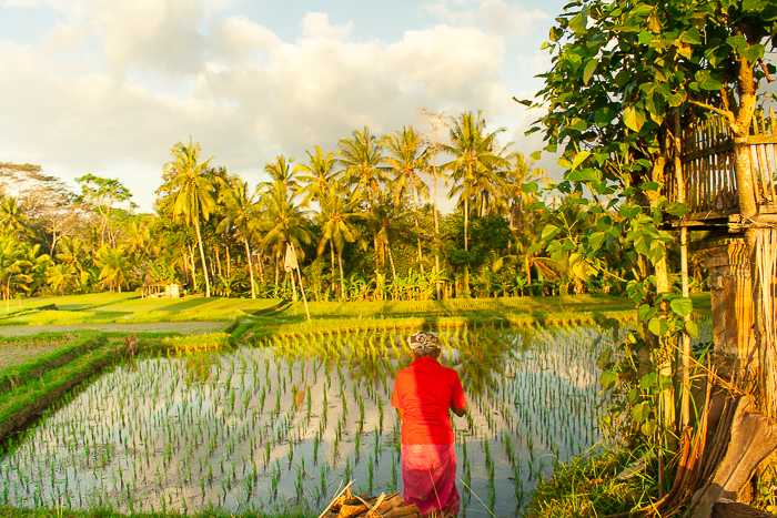 Relaxing in Bali