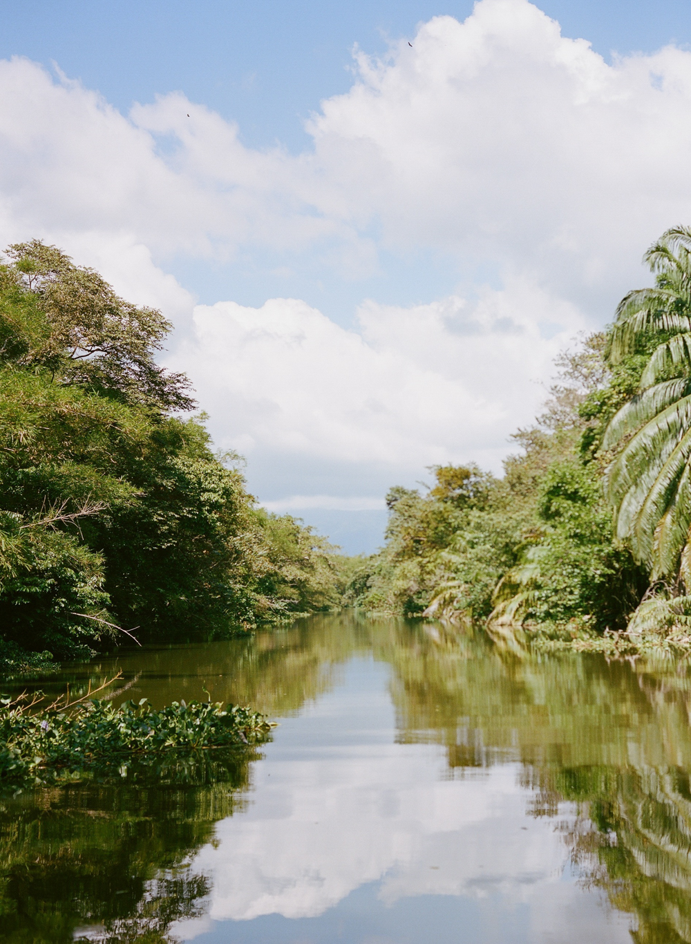 River in the Costa Rica Rainforest