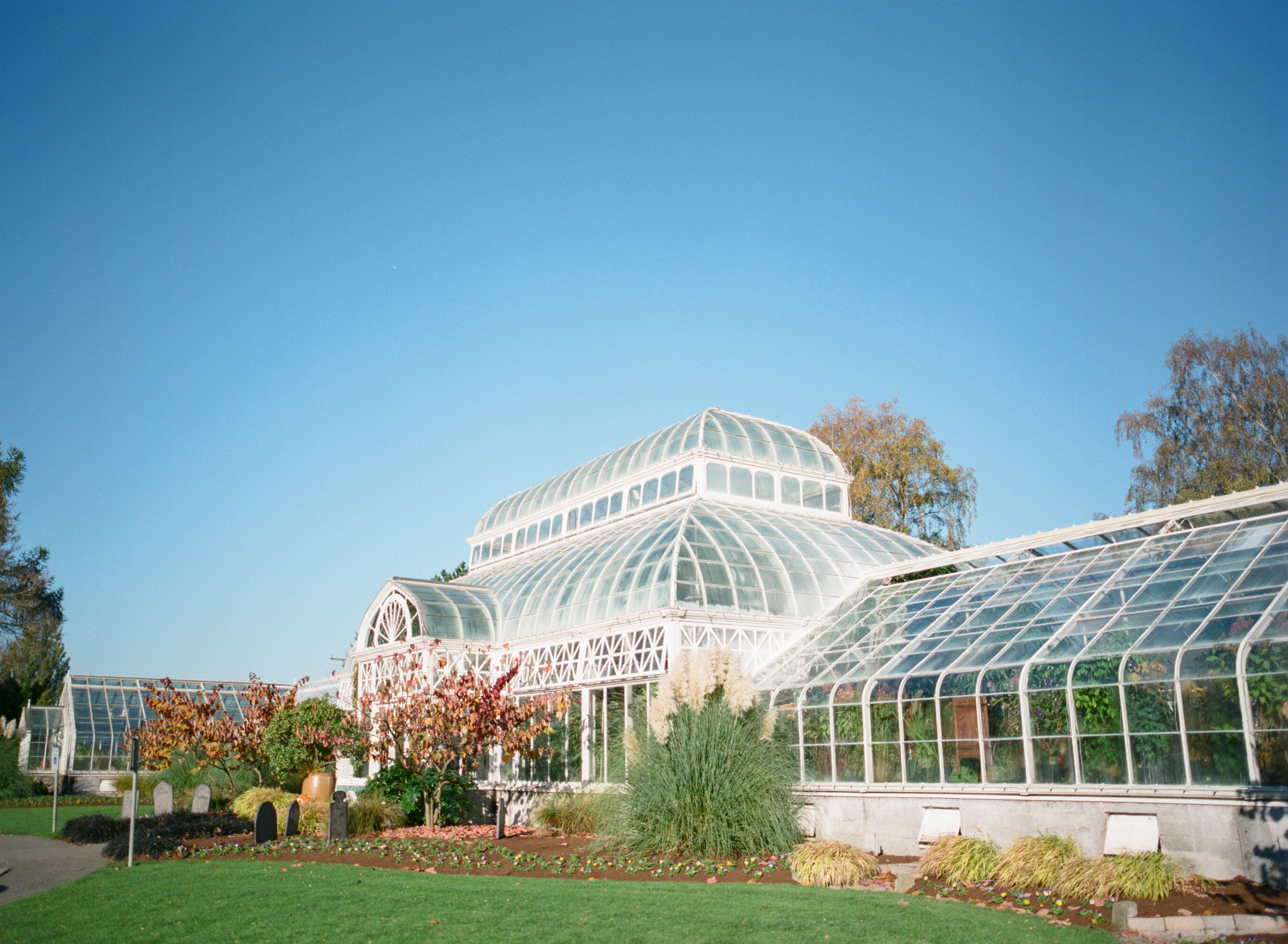 Volunteer Park Conservatory Entouriste