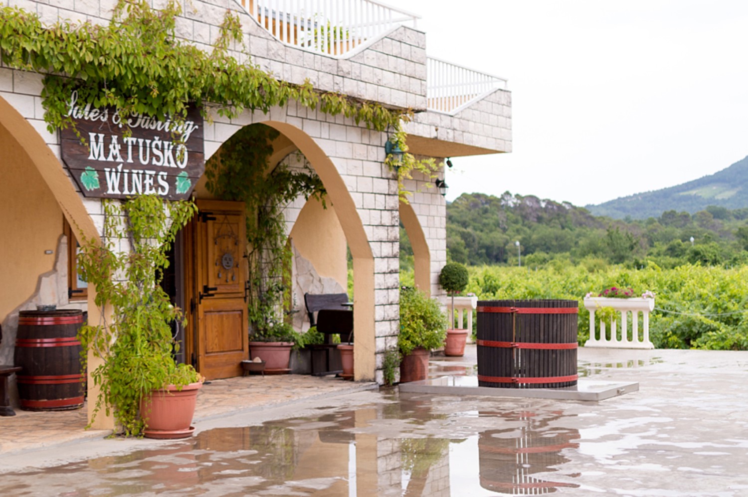 Matusko Wines in Dubrovnik Croatia