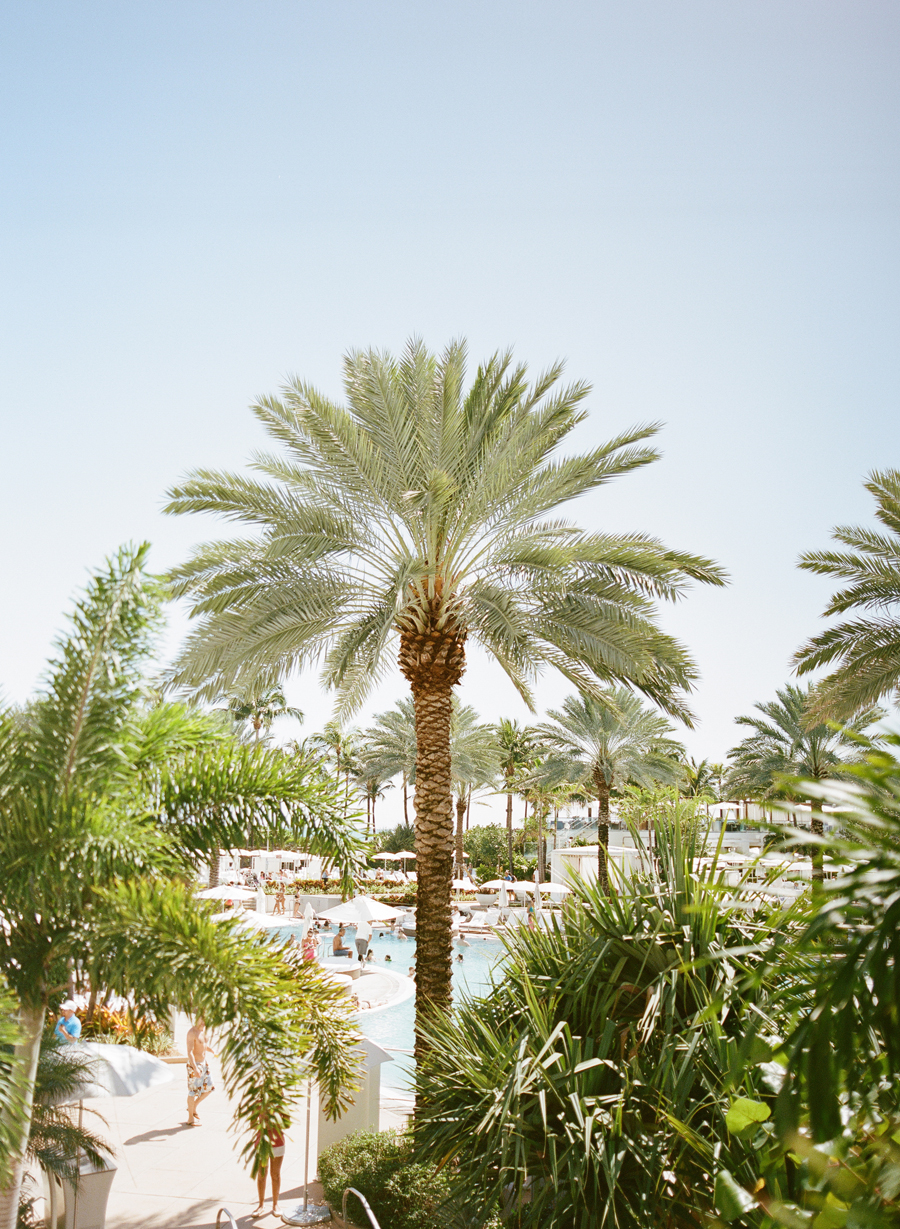 Fontainebleau Pool Miami